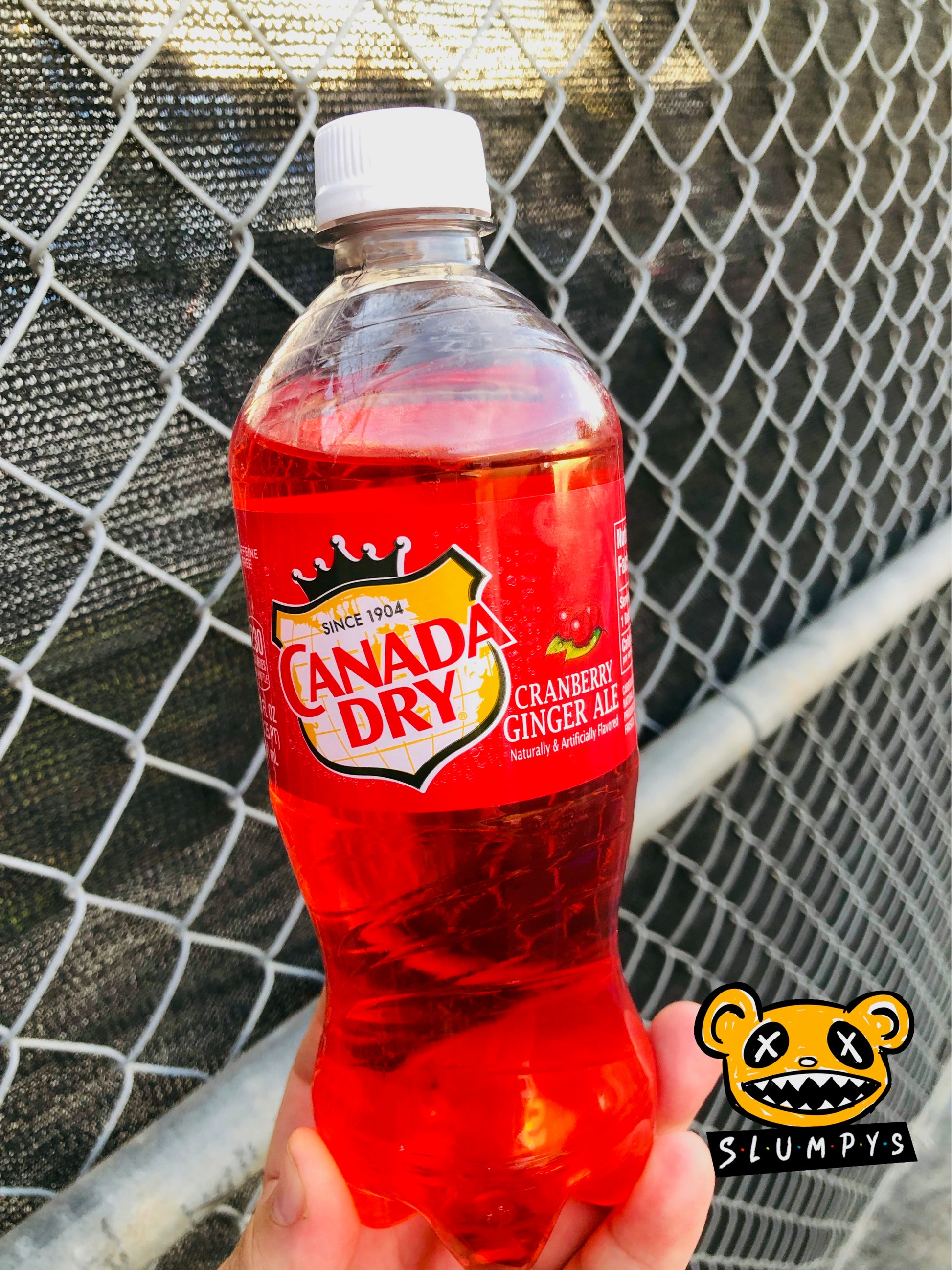 Canada Dry - Cranberry Ginger Ale (Exotic) – Slumpy's